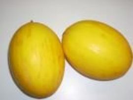 Klicken um zu vergrößern Sauna-Joghurt verschiedene Sorten 10 Kg Honig-Melone