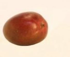 Klicken um zu vergrößern Sauna-Joghurt verschiedene Sorten 10 Kg Mango