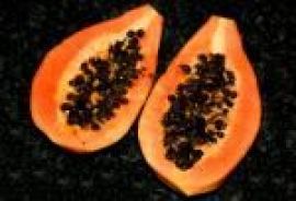 Klicken um zu vergrößern Sauna-Joghurt verschiedene Sorten 10 Kg Papaya