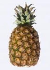 Klicken um zu vergrößern Sauna-Joghurt verschiedene Sorten 10 Kg Ananas